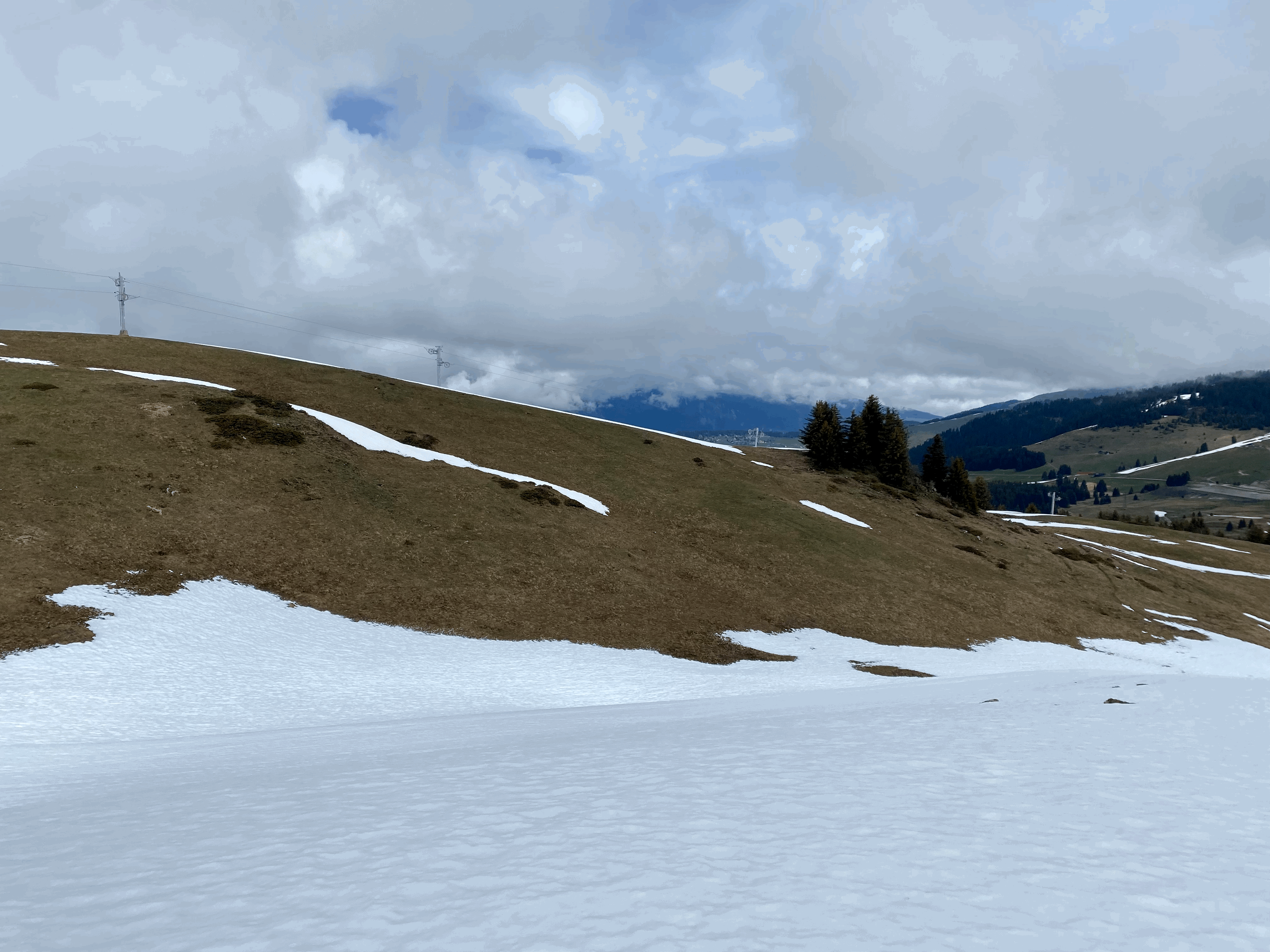 Le réveil de la nature