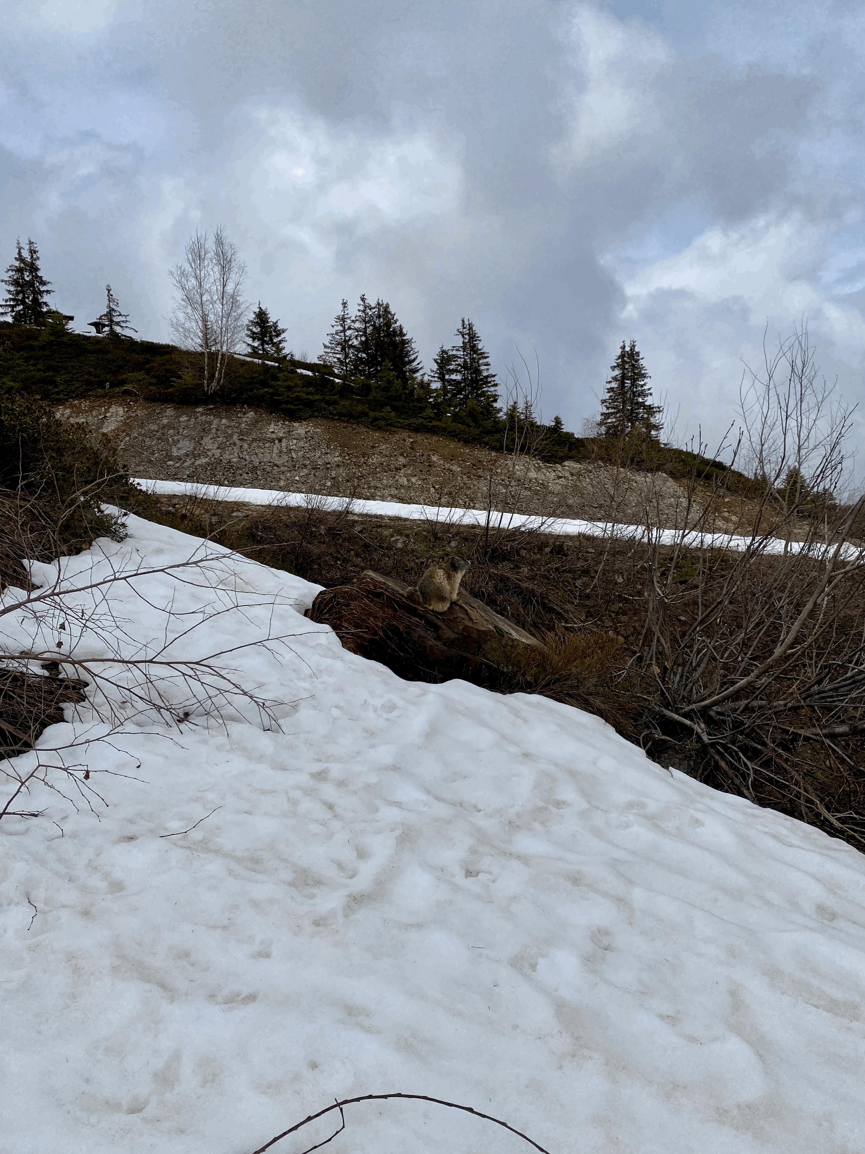 Le réveil de la nature