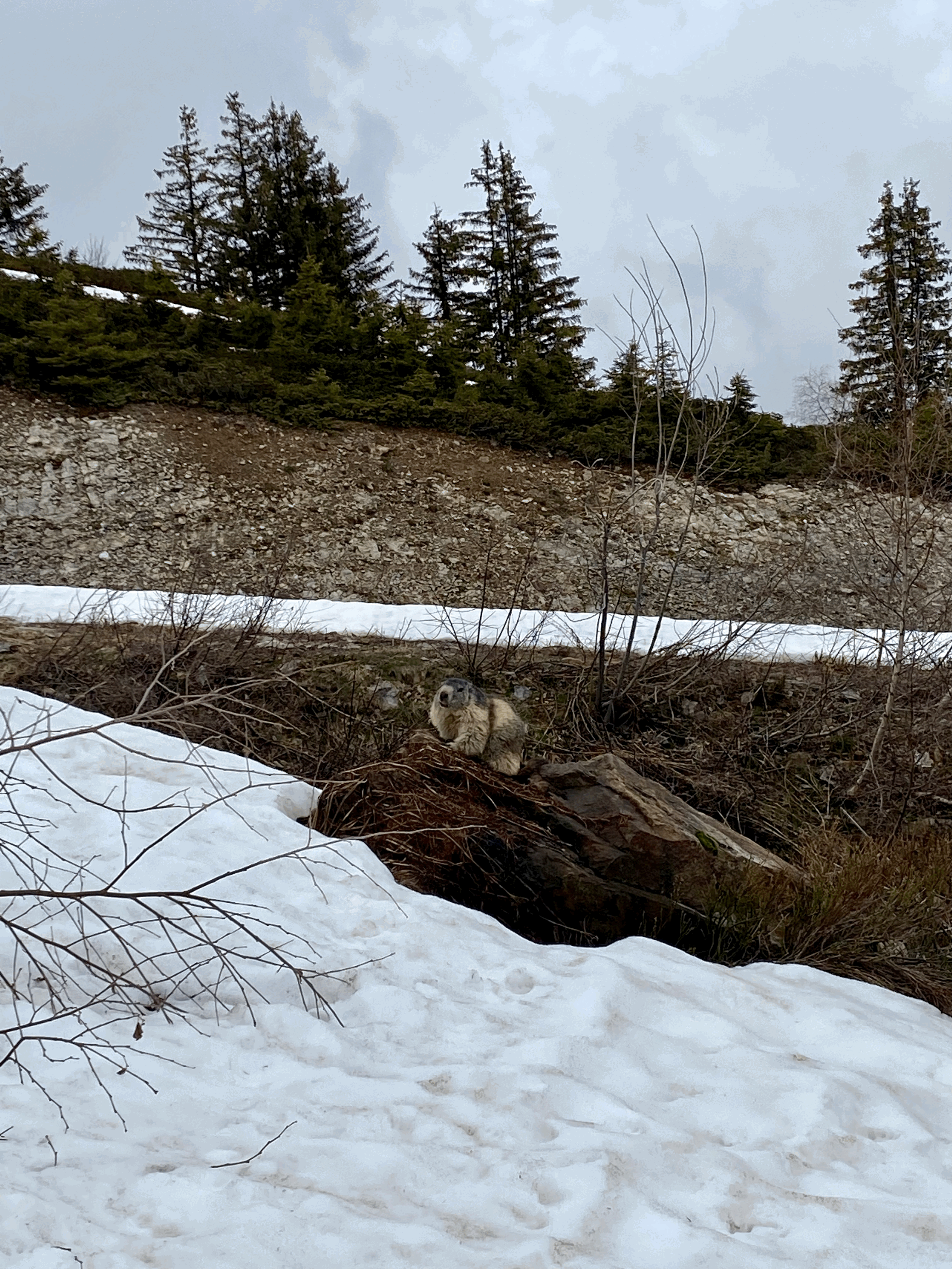 Le réveil de la nature