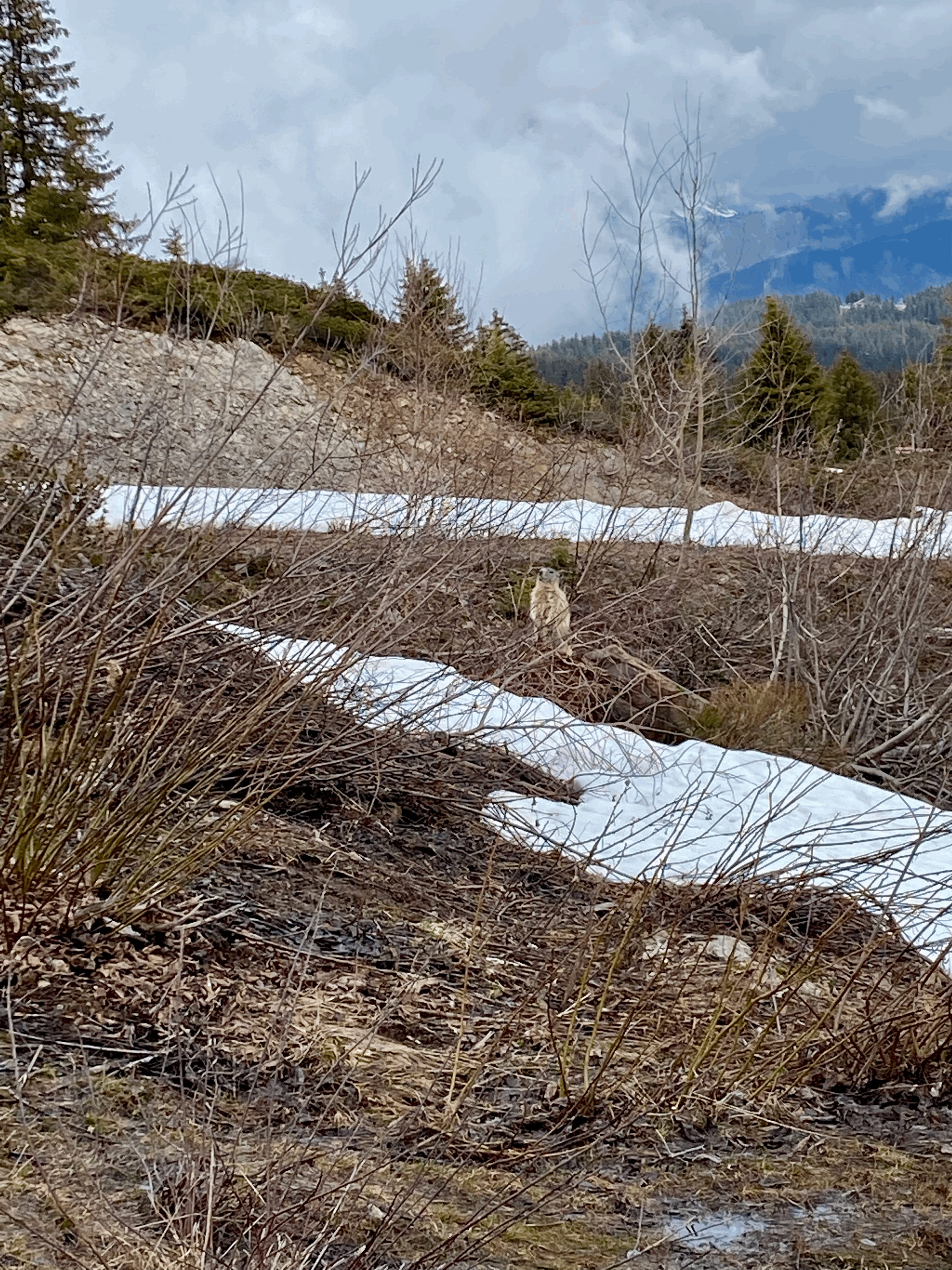 Le réveil de la nature