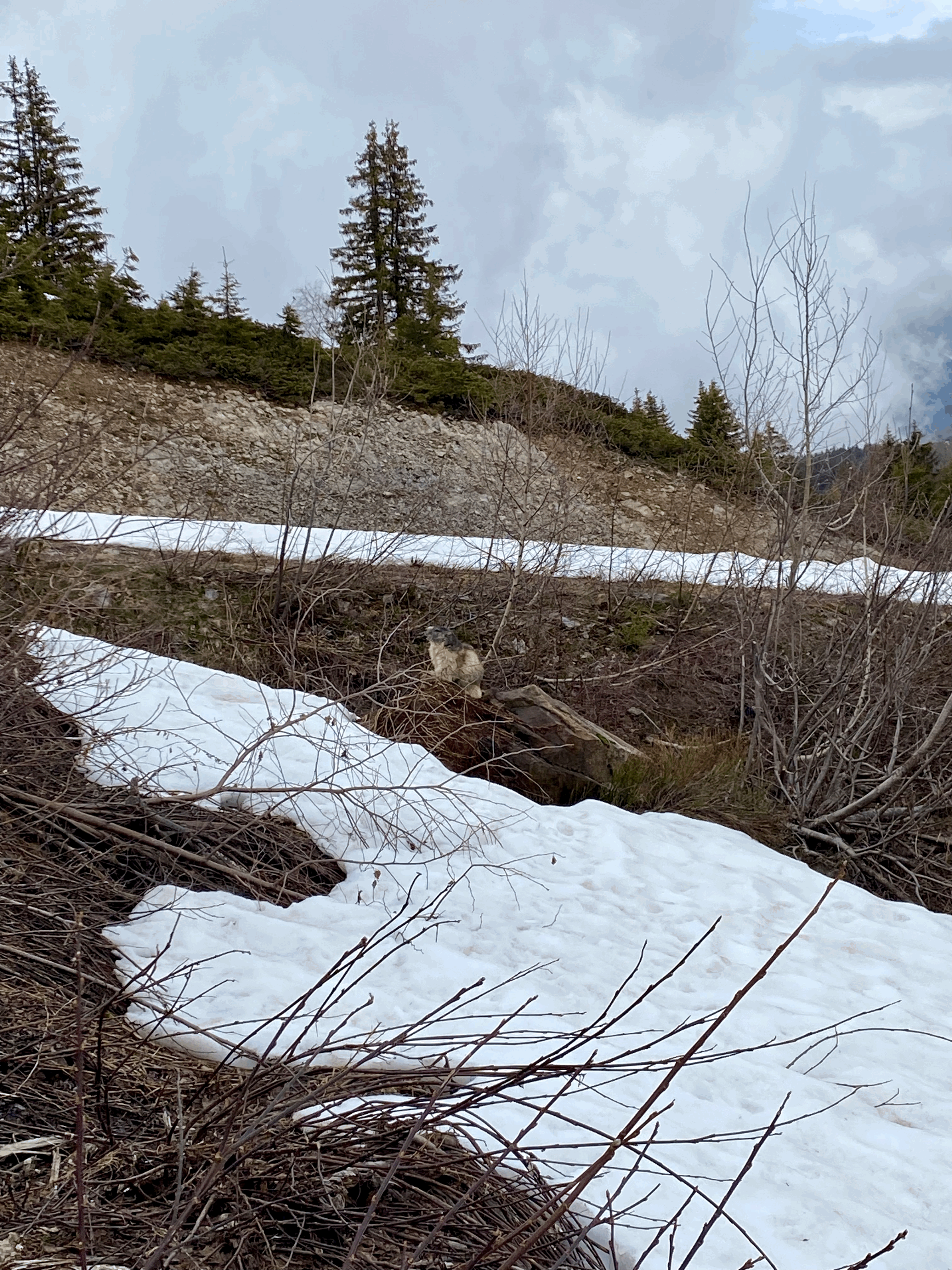 Le réveil de la nature