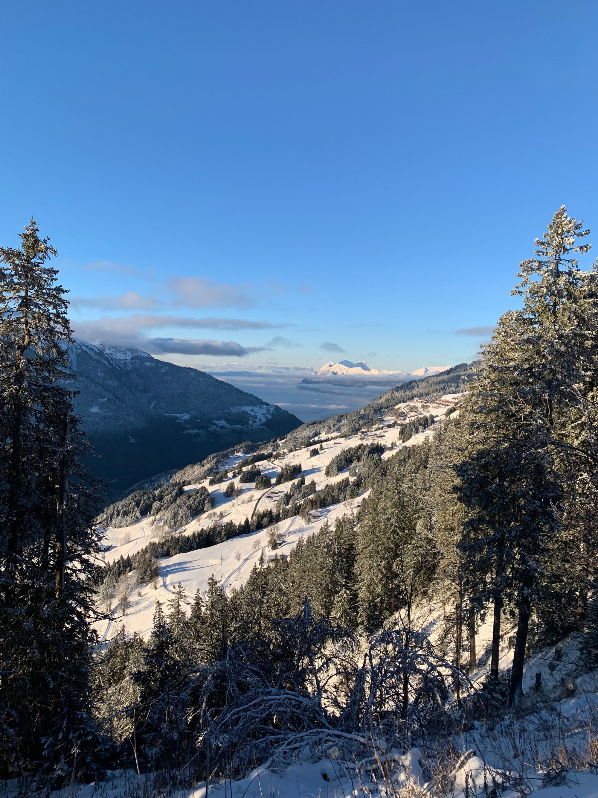 Les Saisies, ça ouvre quand ?