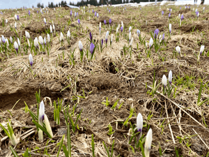 Le réveil de la nature