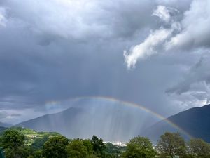 L'homme qui plantait des arbres